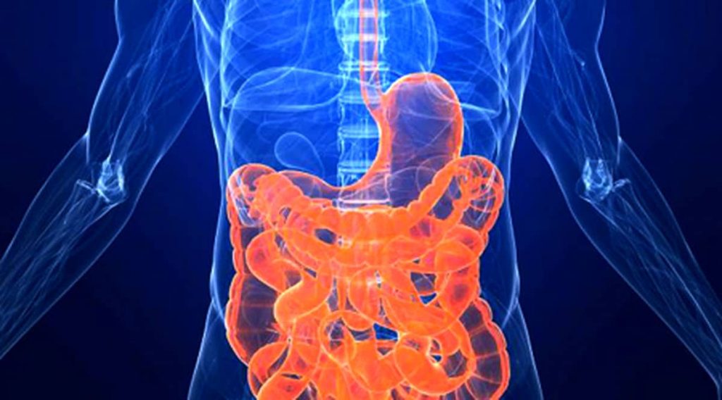 نیازهای آموزشی زخمهای گوارشی